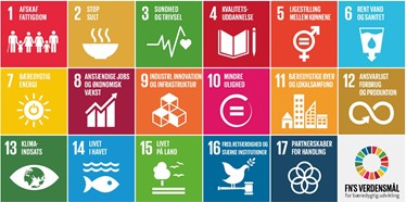 Sustainable Development Goals 1