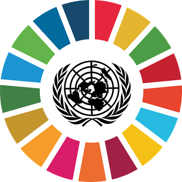 UN 17 World Goals graphic