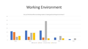 Group Survey Working environment in BSB Industry