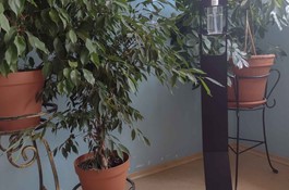 The 60 new alcohol stands have already found their way to their new homes